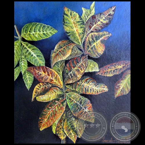 Crotos y sus colores - Pintura al óleo - Obra de Vicente González Delgado